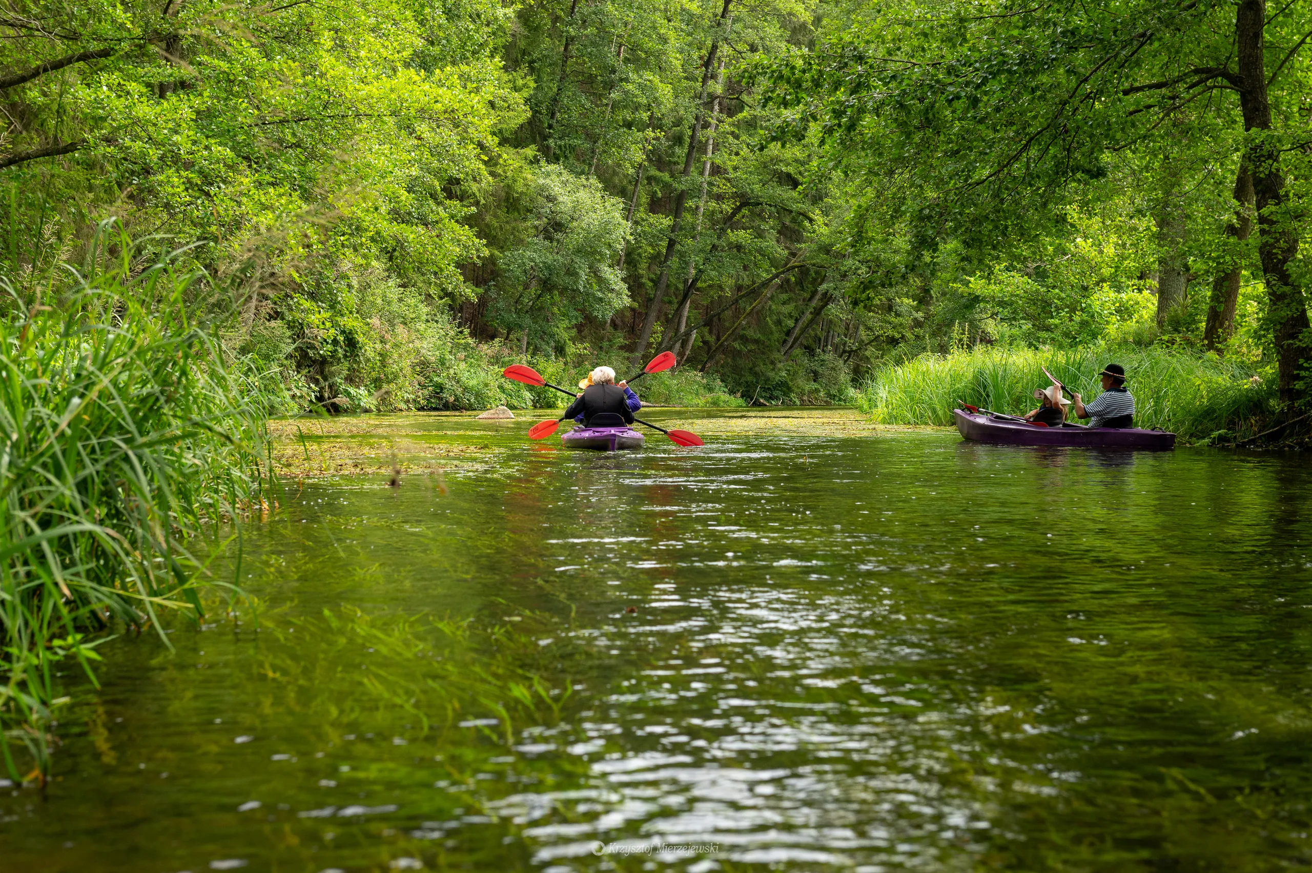 Lange Mäander Route: Heiliger Ort – Goła Zośka - zdjęcie 2